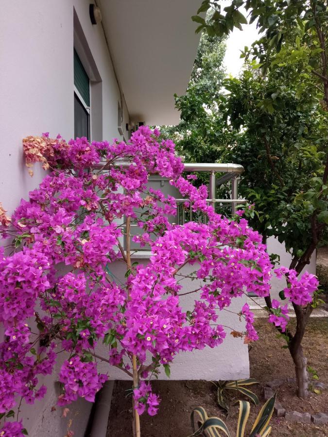 Sofia'S Garden Apartment Néa Péramos Bagian luar foto