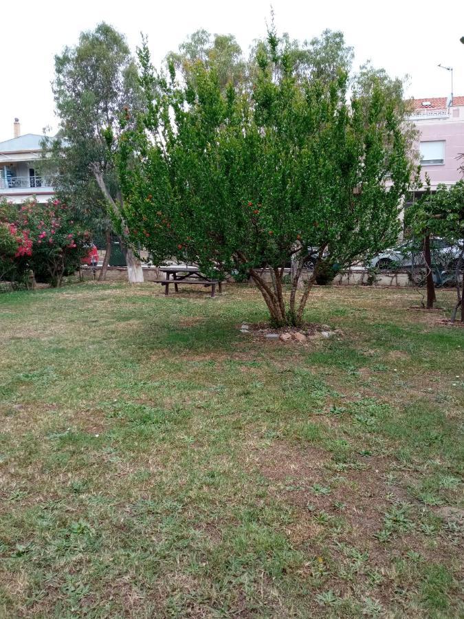 Sofia'S Garden Apartment Néa Péramos Bagian luar foto